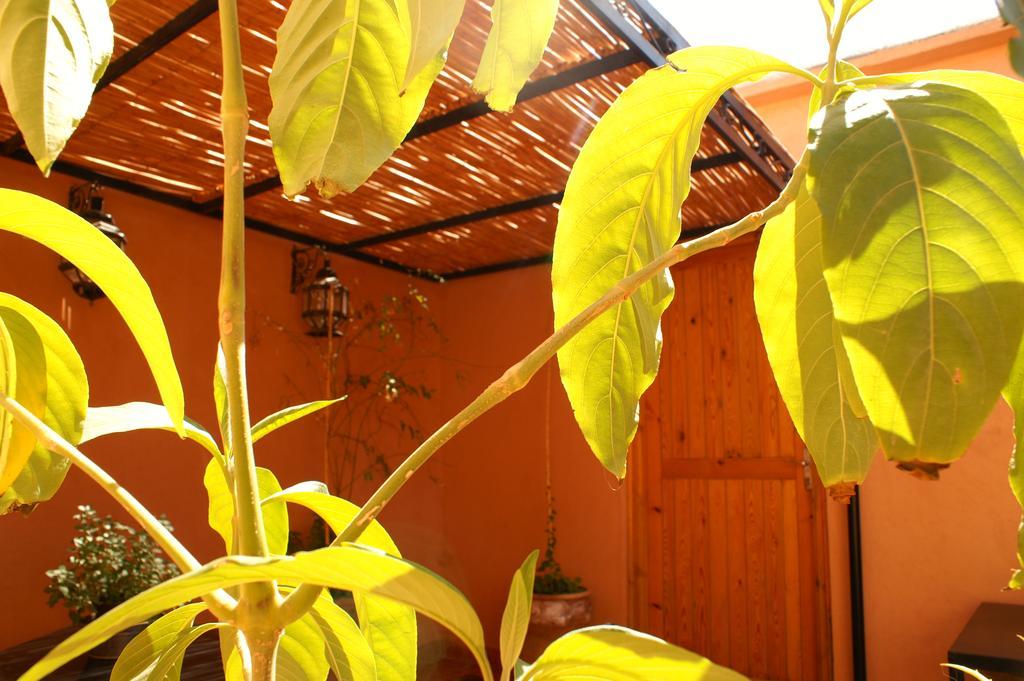 Maison D'Hotes Dar El Nath Ouarzazate Luaran gambar